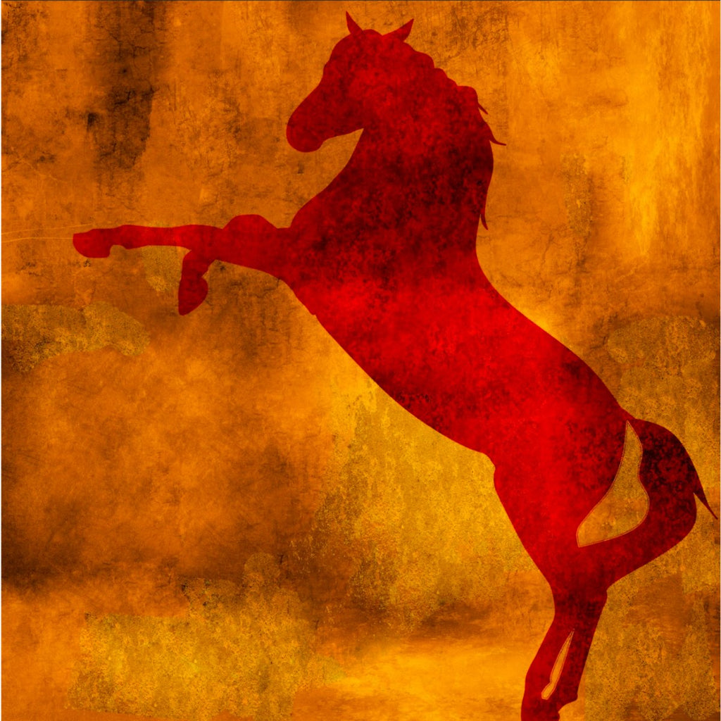 Red Steed - NEW! - Vybe Interior