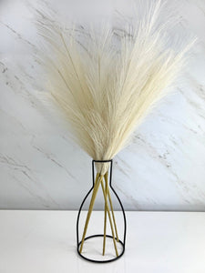 Faux Pampas Grass - Cream (5 Stems) - Vybe Interior