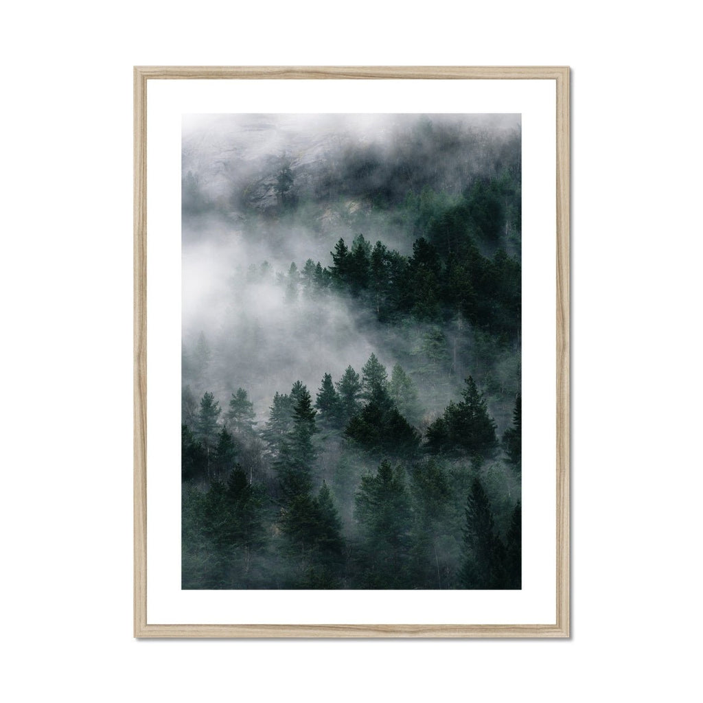 Into the Fog - Vybe Interior