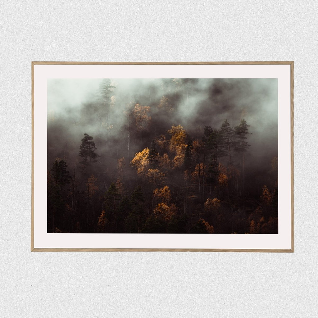 Seasons Changing - Vybe Interior