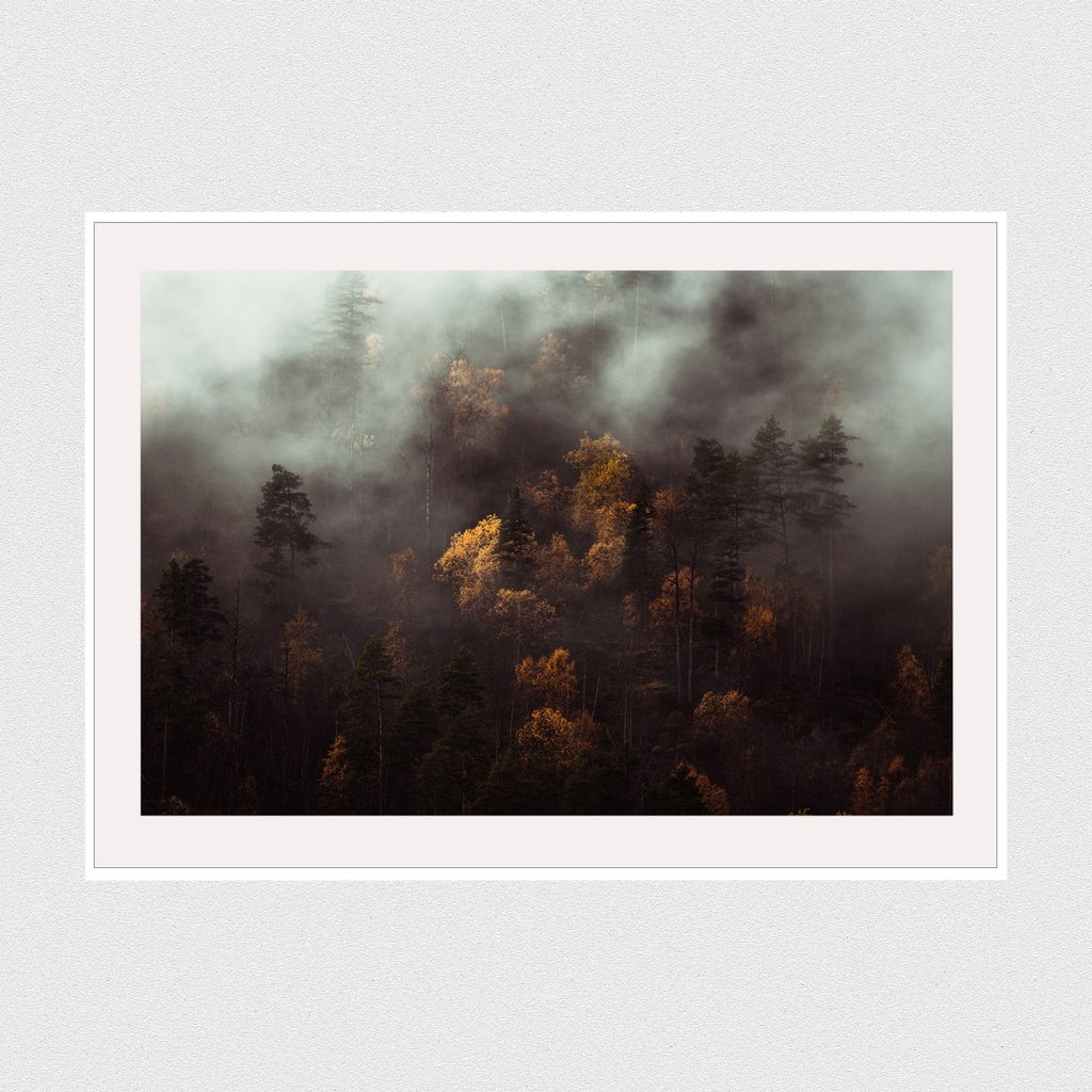 Seasons Changing - Vybe Interior