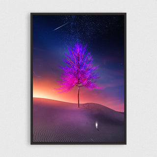Shooting Star Canvas framed horizontal canvas wall art piece for sale at Vybe Interior
